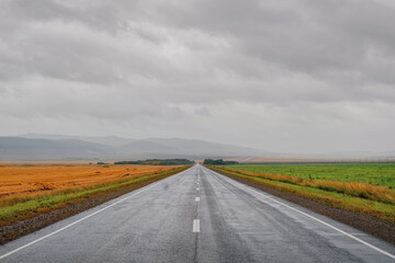 The road in the mountains and steppes in the rain one side yellow field another green sky with clouds and rain