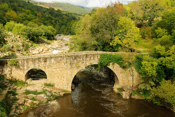 Fototapeta na wymiar A medieval bridge over the river