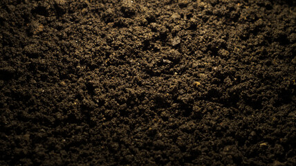 Fototapeta premium Black land for plant background.