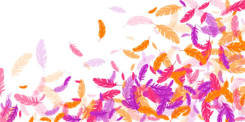 Orange purple pink red feather floating background