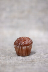 muffin cupcake covered in powdered sugar. bakery sweet