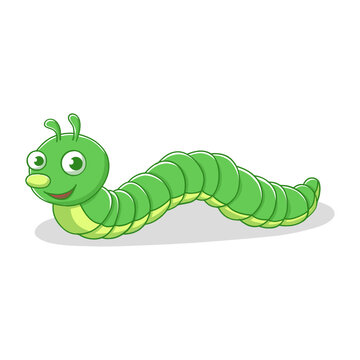 green caterpillar on white background