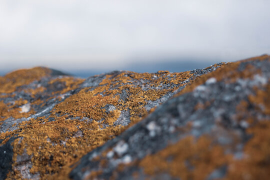 Mossy Stone Wall