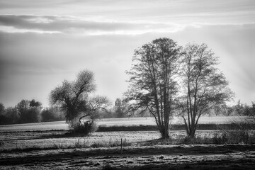 SW träumerische Landschaft