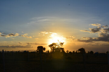 a calm moment in the jungle before the sunset