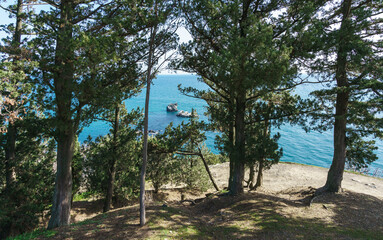 Obraz premium View of the blue sea with islands covered with white salt through the trees in the forest