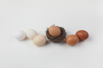 Different brown colors eggs and nest on white background. Color gradient. Zero waste Easter concept.