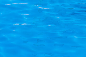 Naklejka premium Clean blue surface of water in the pool abstract sea background
