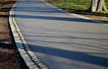 Asphalt road through the park in the woods. serves as a recreational promenade for inline skating...