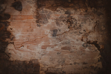 wood texture of old and dirty bark is used as a natural background of dark