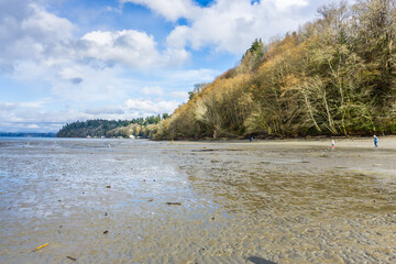 Dash Point Park Shoreline 7