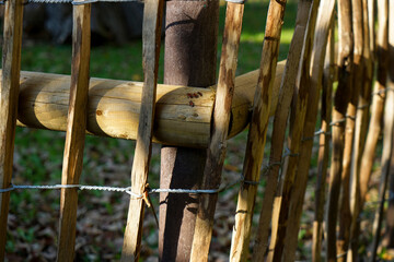 Fence wire photographed outdoors in the best of daylight