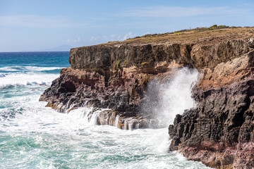 The Petrification Savannah (La Savane des Petrifications) waterfront, Sainte-Anne, Martinique,...