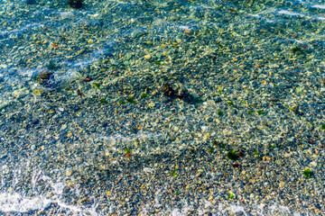 Shallows Rocks Background 2
