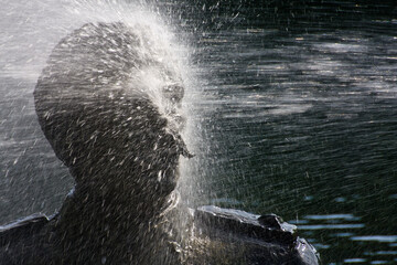 Statue getting a blast of water