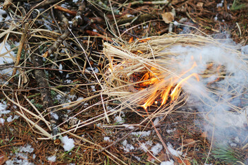 Dry grass burns in the spring forest.
