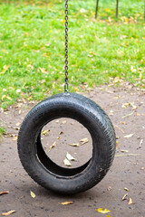 Fototapeta premium children's swing in the park, a swing from the tire