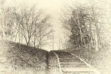 The sepia tone of Low angle view of the step in a National park in Canada.