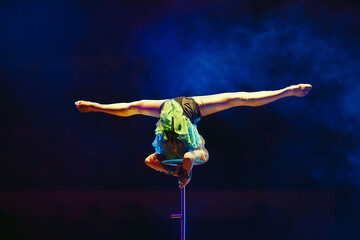 An aerial gymnast shows a performance in the circus arena