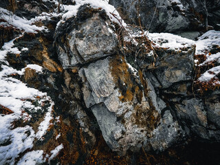 stone wall with moss