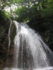 waterfall in the forest