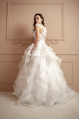Fototapeta premium Beautiful bride in a luxurious wedding dress