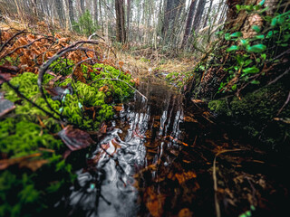 waterfall in the forest
