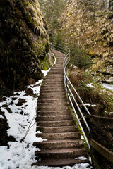 Treppen in den Schwarzwald 