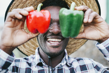 Young african farmer man with bio paprika in his hands- Black person gardening