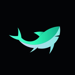 shark illustration