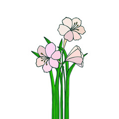 Bouquet of flowers Lilies. Vector stock illustration eps10. Hand drawing. 