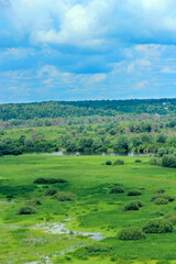 Fototapeta na wymiar Natural landscape from bird's-eye view. Greenery growing along river