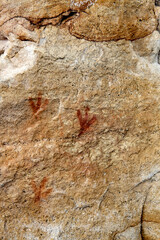 textura australia 24