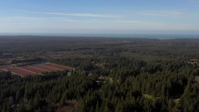 Panoramic View Of Forest And Cranberry Bogs In Port Orford, Oregon, drone shot
