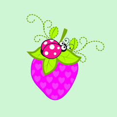 ladybug on a green leaf