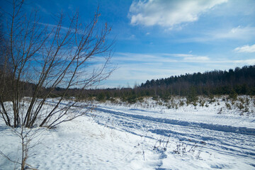 winter road with trees