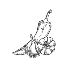 Obraz premium Pepper and Garlic sketch - Spice