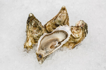 Fresh french oysters on ice at a seafood restaurant. Ready for eat or serving.