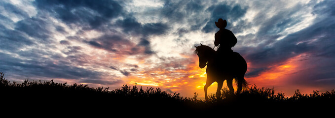 cowboy on horseback in the lonely valley