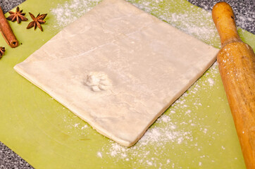 Cat paw print on raw dough with spices and ingredients on table