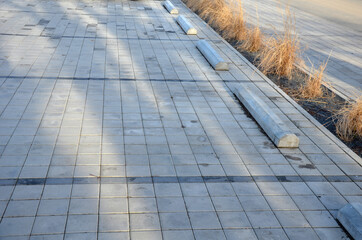 parking in the parking lot at the flowerbed in the shape of a lane with ornamental dry grasses....