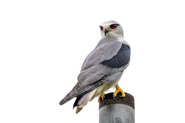 This is Not a pole dancer :)