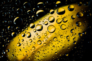 Rain drops on window with yellow tulip flower in background
