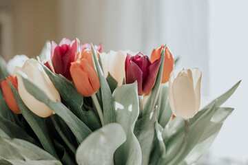 Bouquet of bright colorful tulips. Beautiful floral background. Spring flowers. Copy space