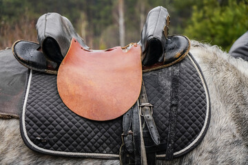 saddle on back  of white horse on forest background.