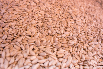 Peeled sunflower seeds. Raw sunflower sseds close up. Vegeterian nutrition. Energy snack. Organic food. Healthy food. Agriculture concept. Diet ingredient. 