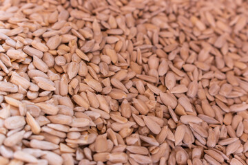 Peeled sunflower seeds. Raw sunflower sseds close up. Vegeterian nutrition. Energy snack. Organic food. Healthy food. Agriculture concept. Diet ingredient. 
