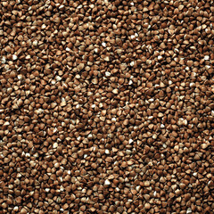 Premium Buckwheat seeds. Brown grain texture background . Macro