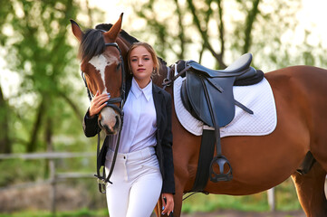 Beautiful horse rider girl stands near a horse on a farm  
