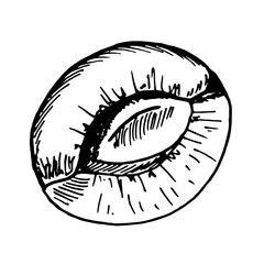 Apricots hand drawn illustration. Isolated on white background. Apricot fruit. Abstract minimal vector illustration. Can be used for greeting cards, flyers, invitations, web design, etc